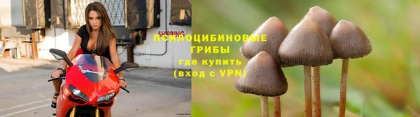 COCAINE Михайловка