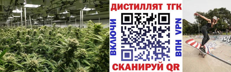 KRAKEN как зайти  Дрезна  ТГК вейп 